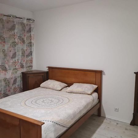 Chez Bernadette Appartement Vandoeuvre-lès-Nancy Buitenkant foto