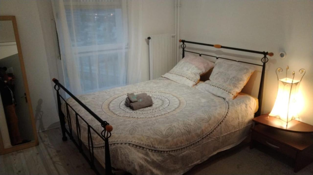 Chez Bernadette Appartement Vandoeuvre-lès-Nancy Buitenkant foto